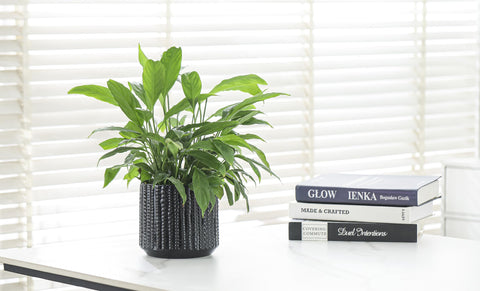 Arktiva gift-ready planter makes a thoughtful plant lover gift