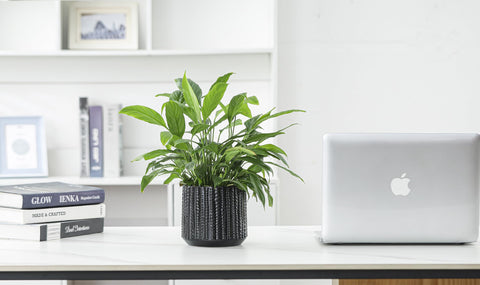 Arktiva modern decor planter complements diverse interior styles