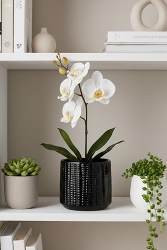 Arktiva planter with removable silicone plug enables flexible drainage control