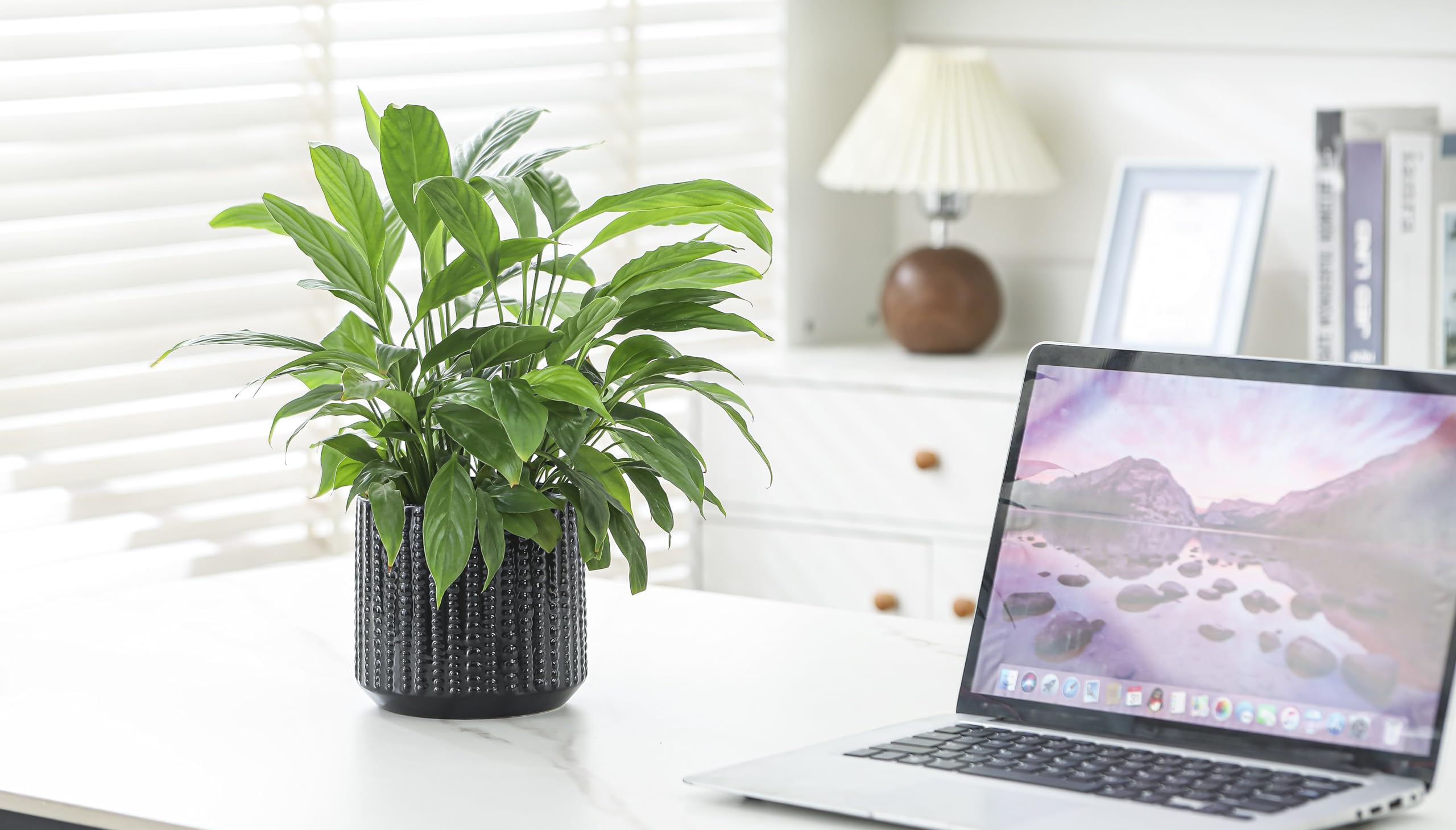 Arktiva planter perfect for succulents and small cacti displays
