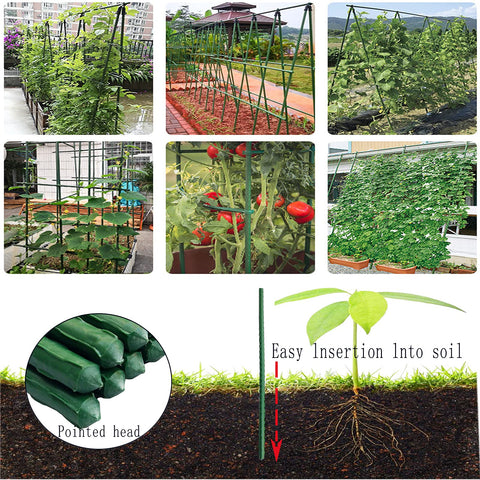 Arlai tomato stakes pack25 keeps vines upright and organized.
