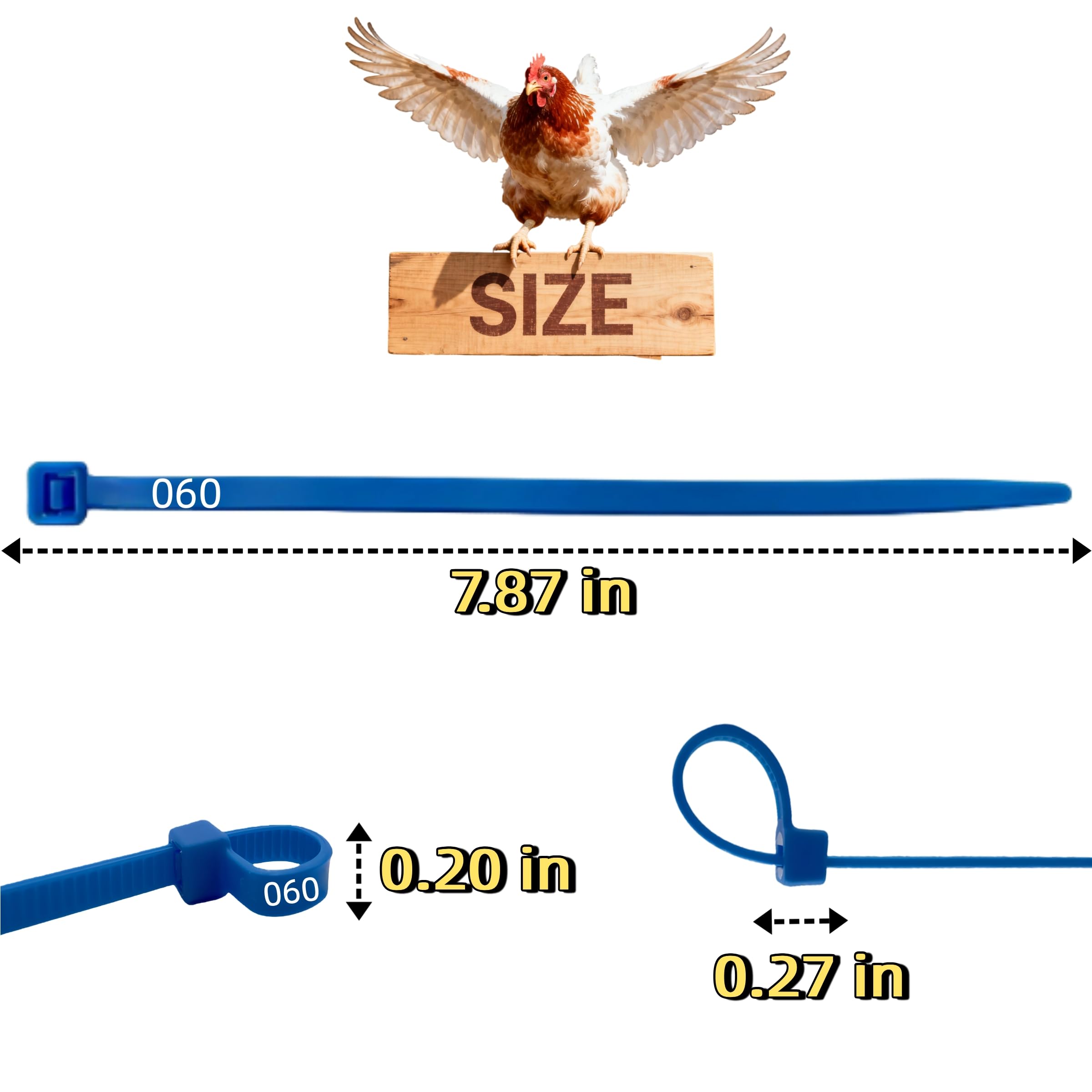 ARMLCL Vibrant 120Pcs adjustable bands fit poultry of all sizes for easy attachment.