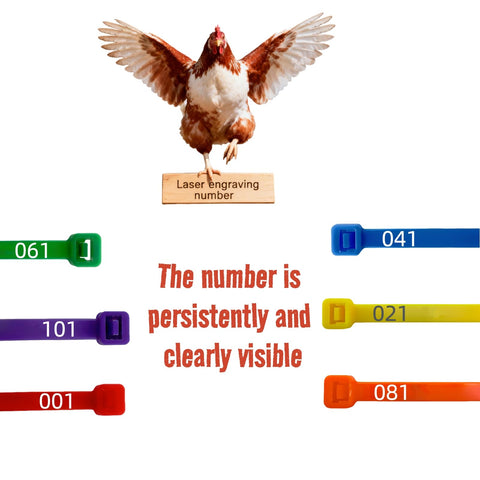 ARMLCL Vibrant 120Pcs suitable for chickens, ducks, and geese in one kit.