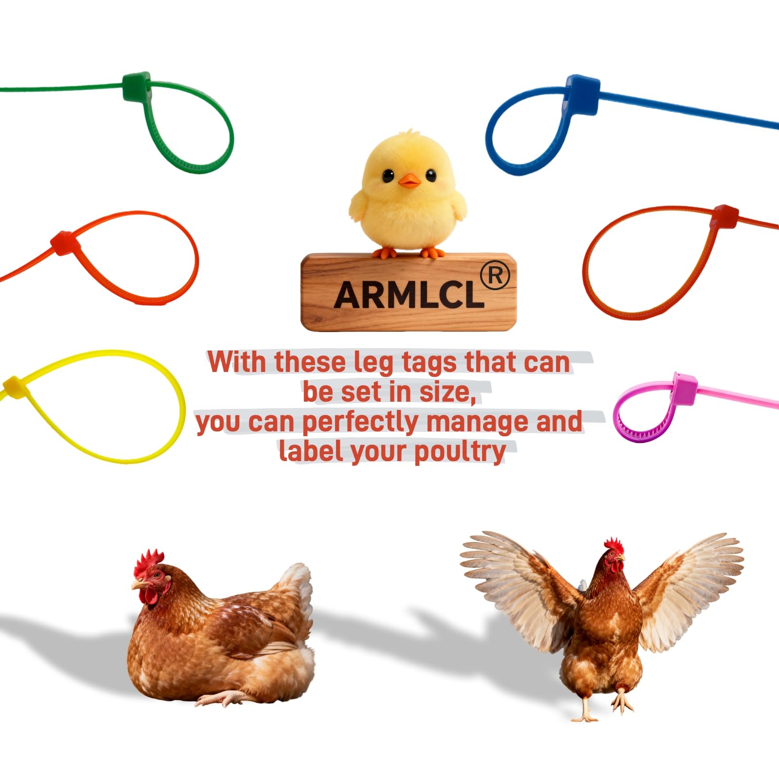 ARMLCL Vibrant leg band blue for easy poultry monitoring and organization.