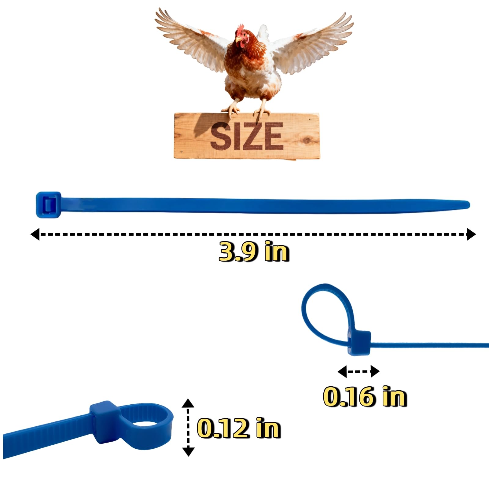 ARMLCL Vibrant leg band green for size differentiation and flock management.