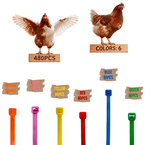 ARMLCL Vibrant leg band red for quick flock identification and durable visibility.