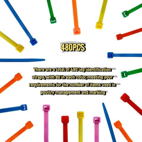 ARMLCL Vibrant leg band yellow for bright detection at a glance.