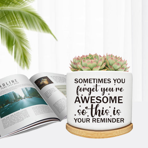 Arosedmo desk succulent pot ceramic with wood tray keeps workspace tidy.