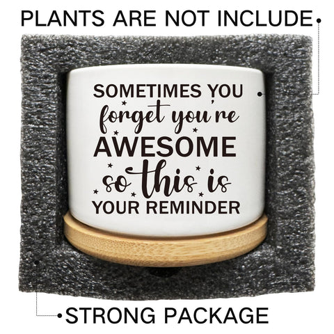 Arosedmo decorative succulent pot gift-ready for plant lovers and friends.