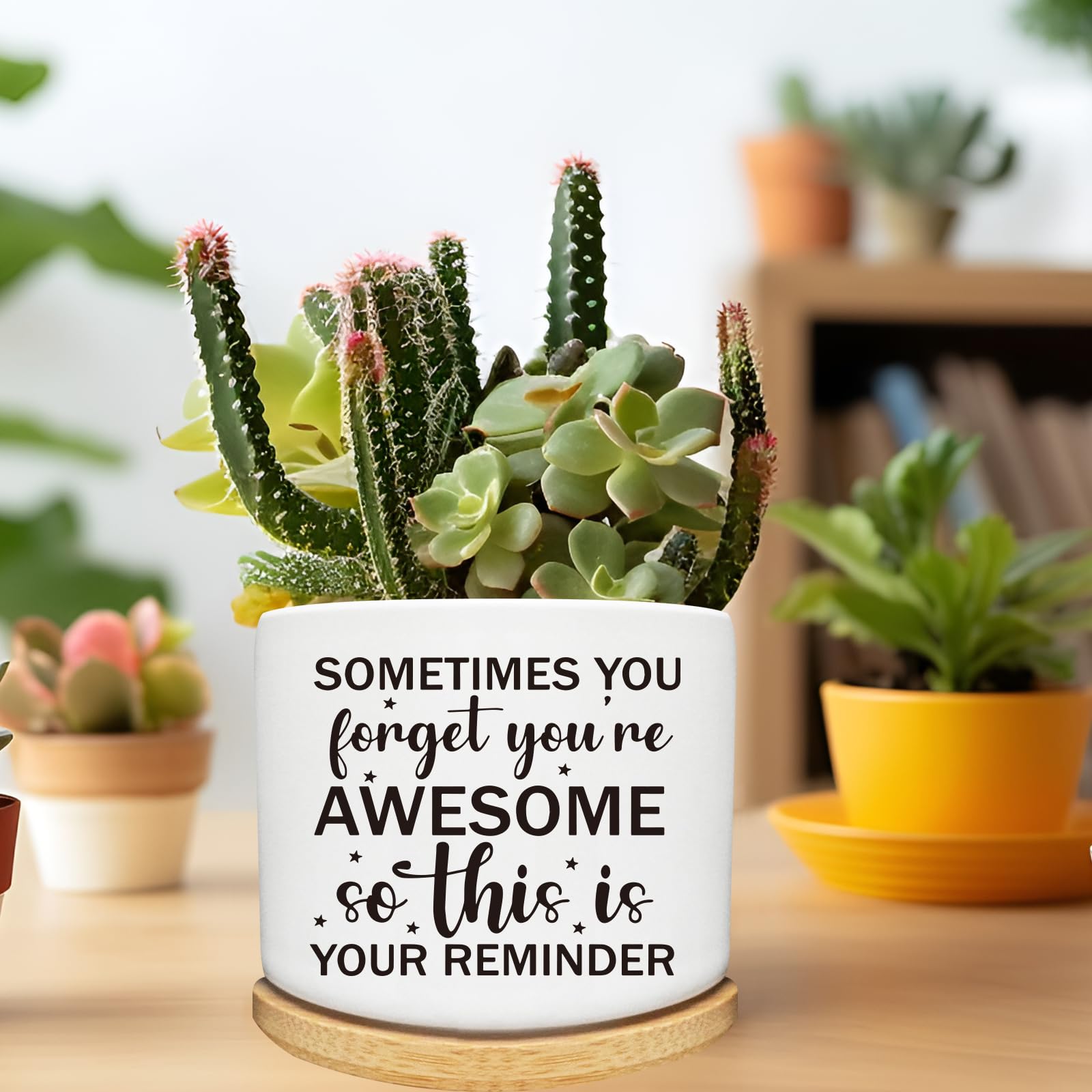 Arosedmo herb cactus planter ceramic with wooden saucer for kitchen corners.
