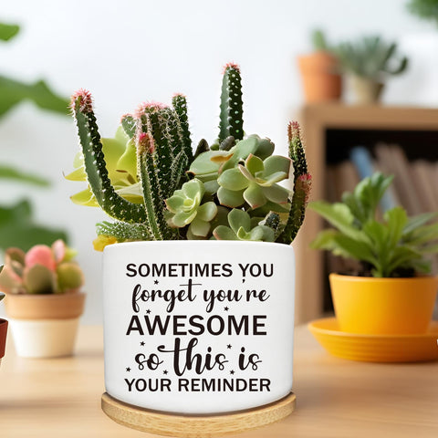 Arosedmo herb cactus planter ceramic with wooden saucer for kitchen corners.