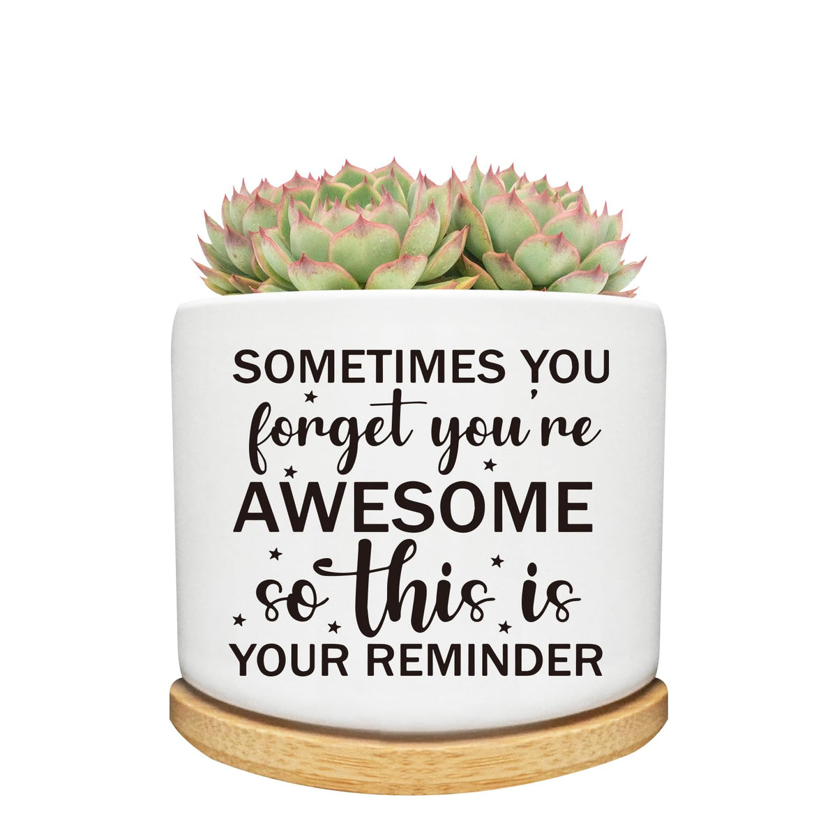 Arosedmo succulent planter ceramic with bamboo tray for desk or windowsill decor.