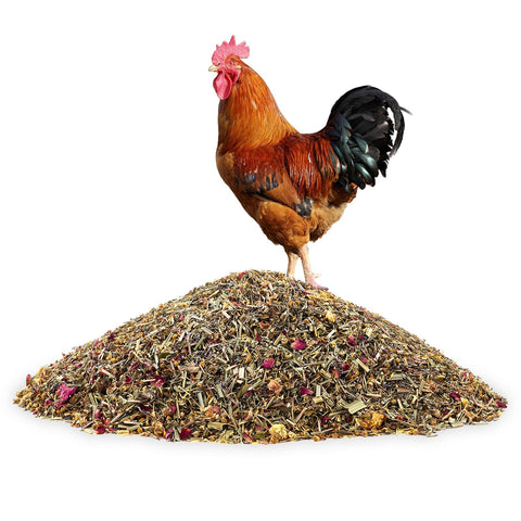 ARQRHTLY chicken-coop-accessories-bundle cohesive set for an inviting coop.