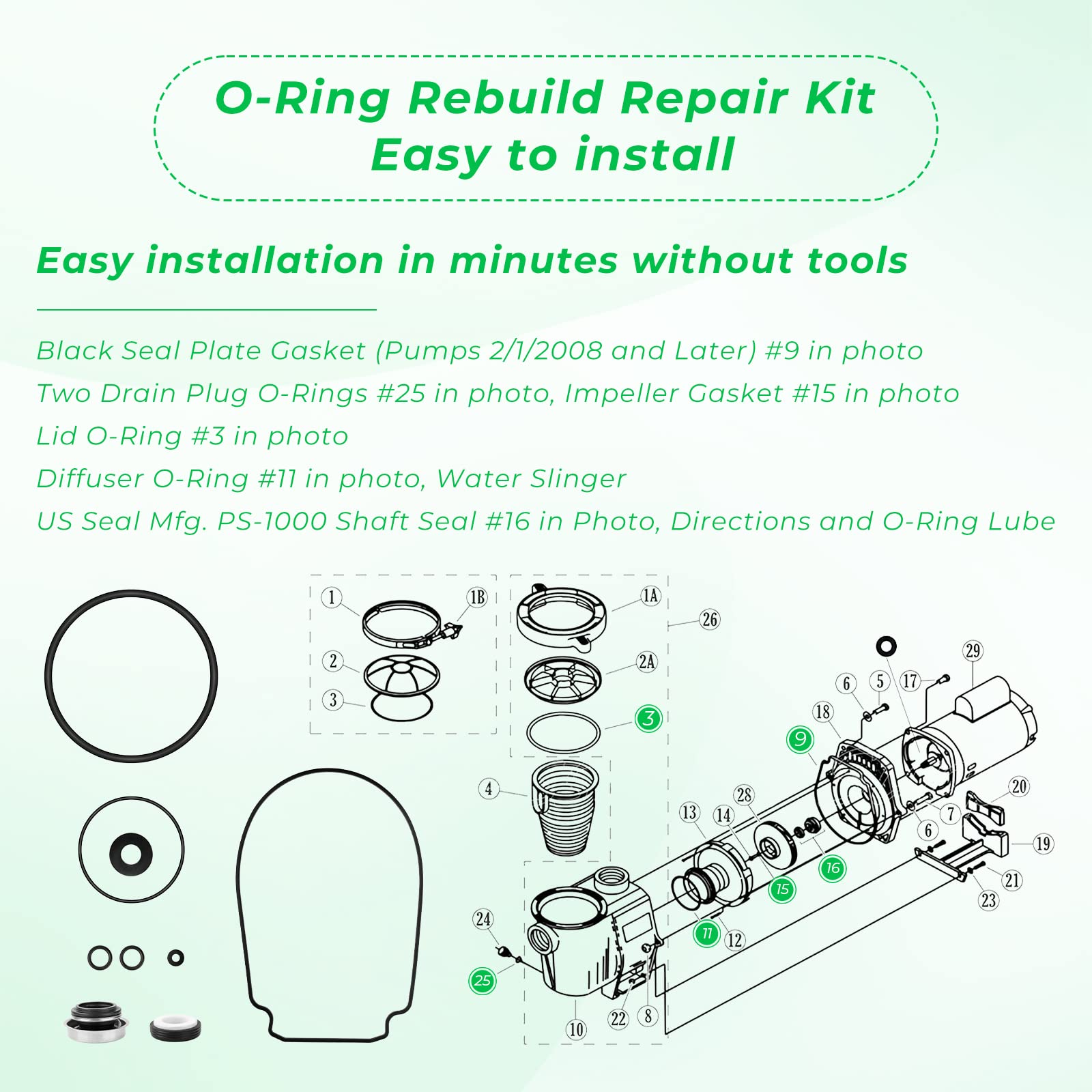 ArrogantF lid O-ring seals the pump housing for longer life.