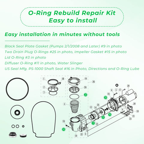 ArrogantF lid O-ring seals the pump housing for longer life.