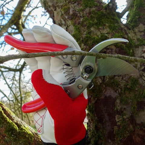ARS HP-VS8Z lock release enables one-handed operation during pruning tasks.