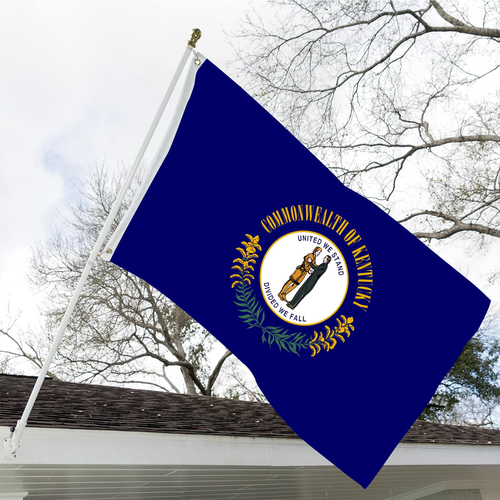 ARSOF flag shows vivid colors that resist fading in sunlit yards.
