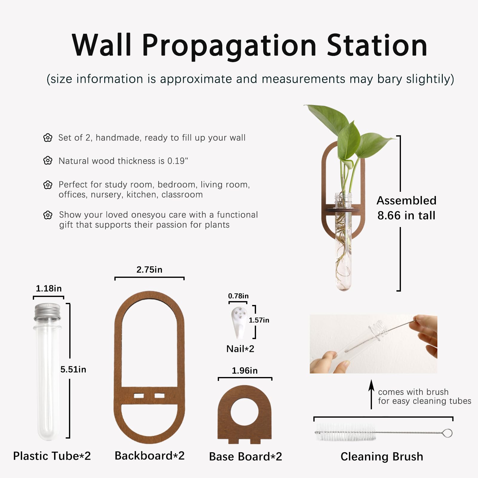 Artilady hydroponics terrarium mounted on wall for compact plant display