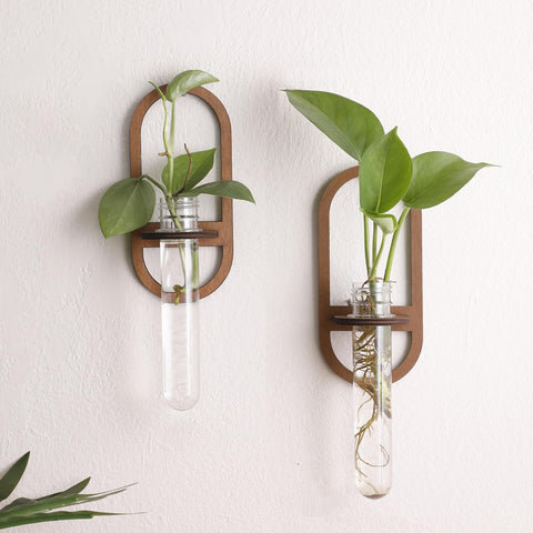 Artilady propagation station wall mount with wooden base and clear tubes for observing root growth