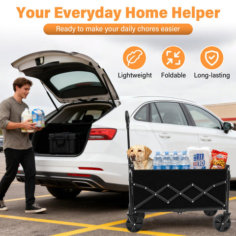 ARTIST'S DREAM easy-clean wagon stays ready for next adventure