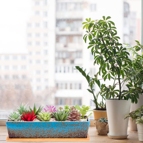 Artketty 12-inch rectangle planter makes a thoughtful gift for plant lovers