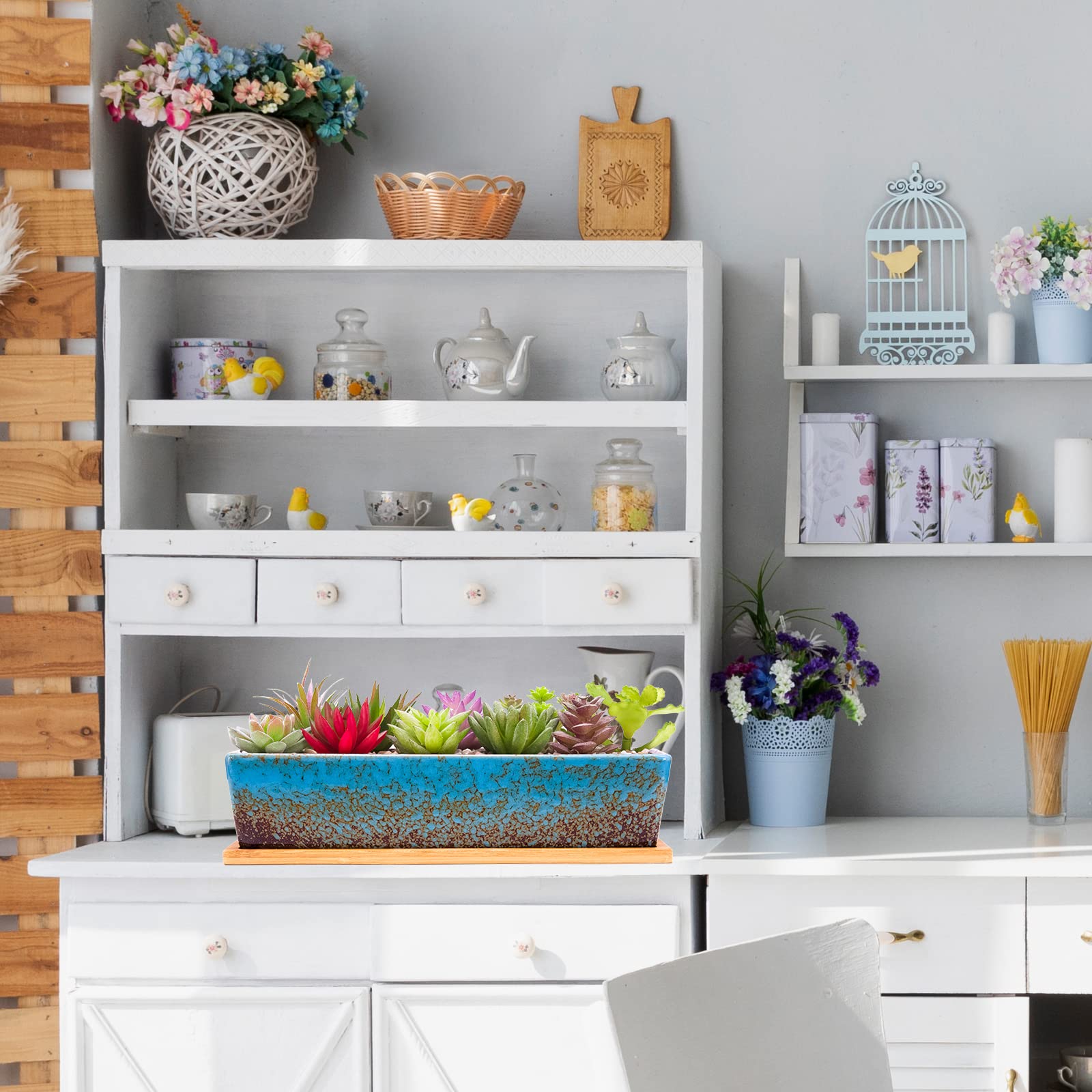 ARTKETTY 12-inch planter fits shallow succulents and tiny cacti