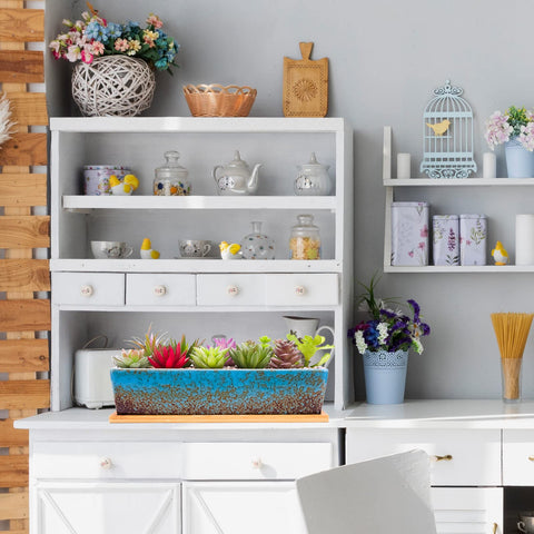 ARTKETTY 12-inch planter fits shallow succulents and tiny cacti