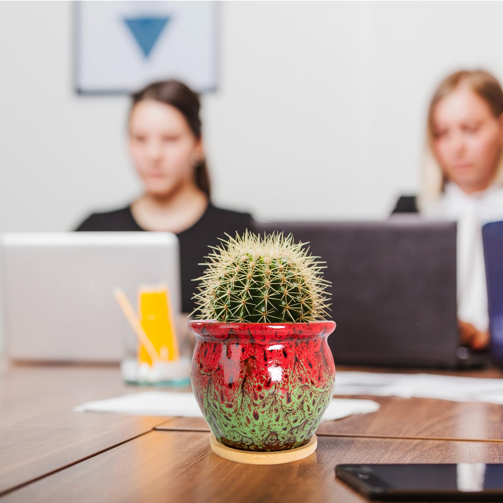Colorful cactus planter set enhances shelves and countertops.