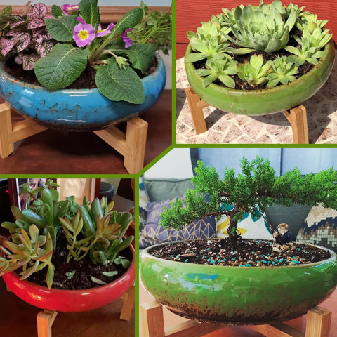 ARTKETTY gift-ready succulent pots – perfect for green-thumb gifts.