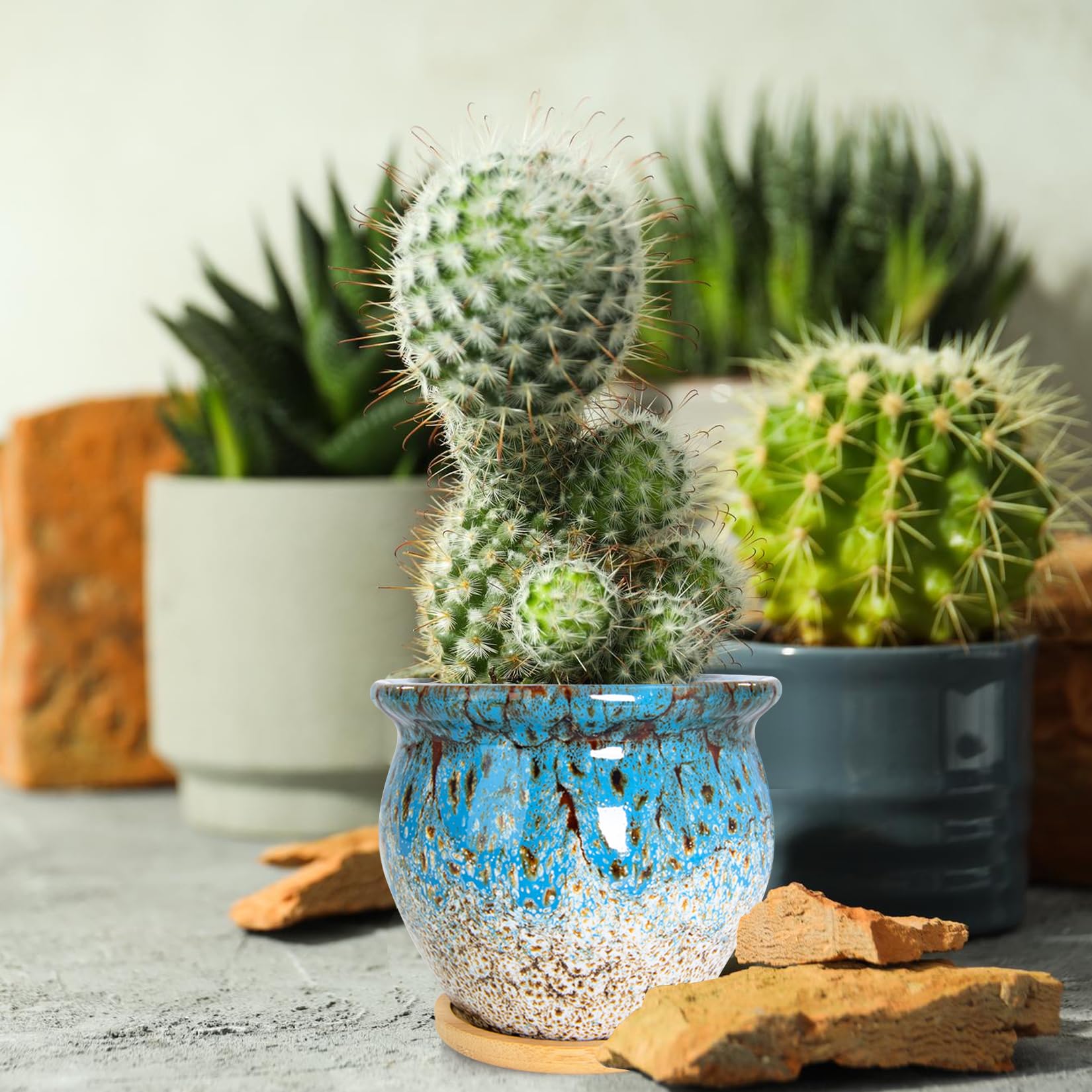 Perfect housewarming gift for plant lovers seeking modern décor.