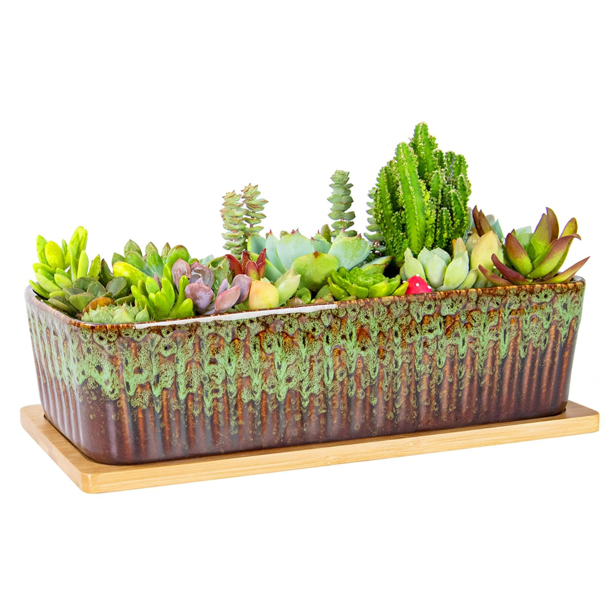 ARTKETTY rectangle succulent pot on a bright windowsill showing modern design and dimensions