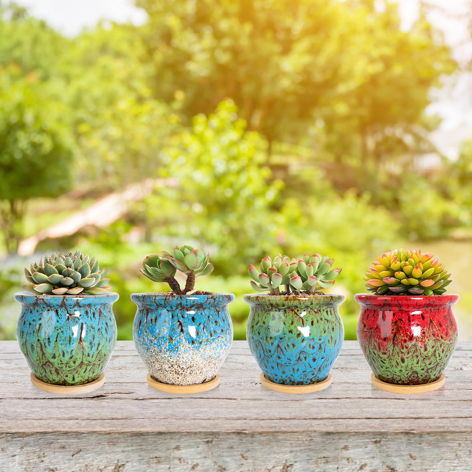 Compact 4.5-inch pot fits desks and cozy corners.