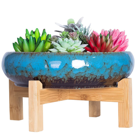 ARTKETTY 10-inch round ceramic succulent pot with drainage for healthy indoor plants.