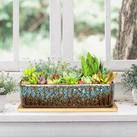 ARTKETTY succulent pot on desk decor ideal gift for plant lovers