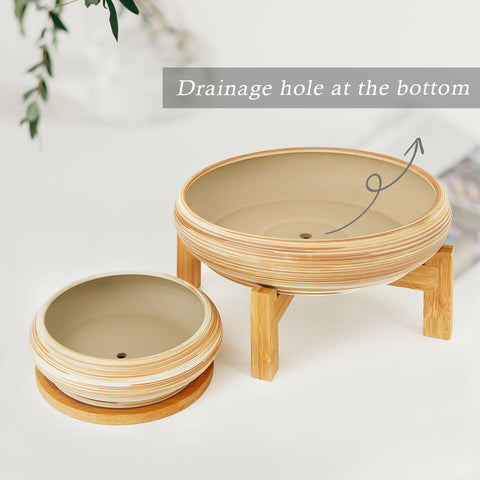 ARTKETTY succulent pot with drainage tray supports healthy roots.