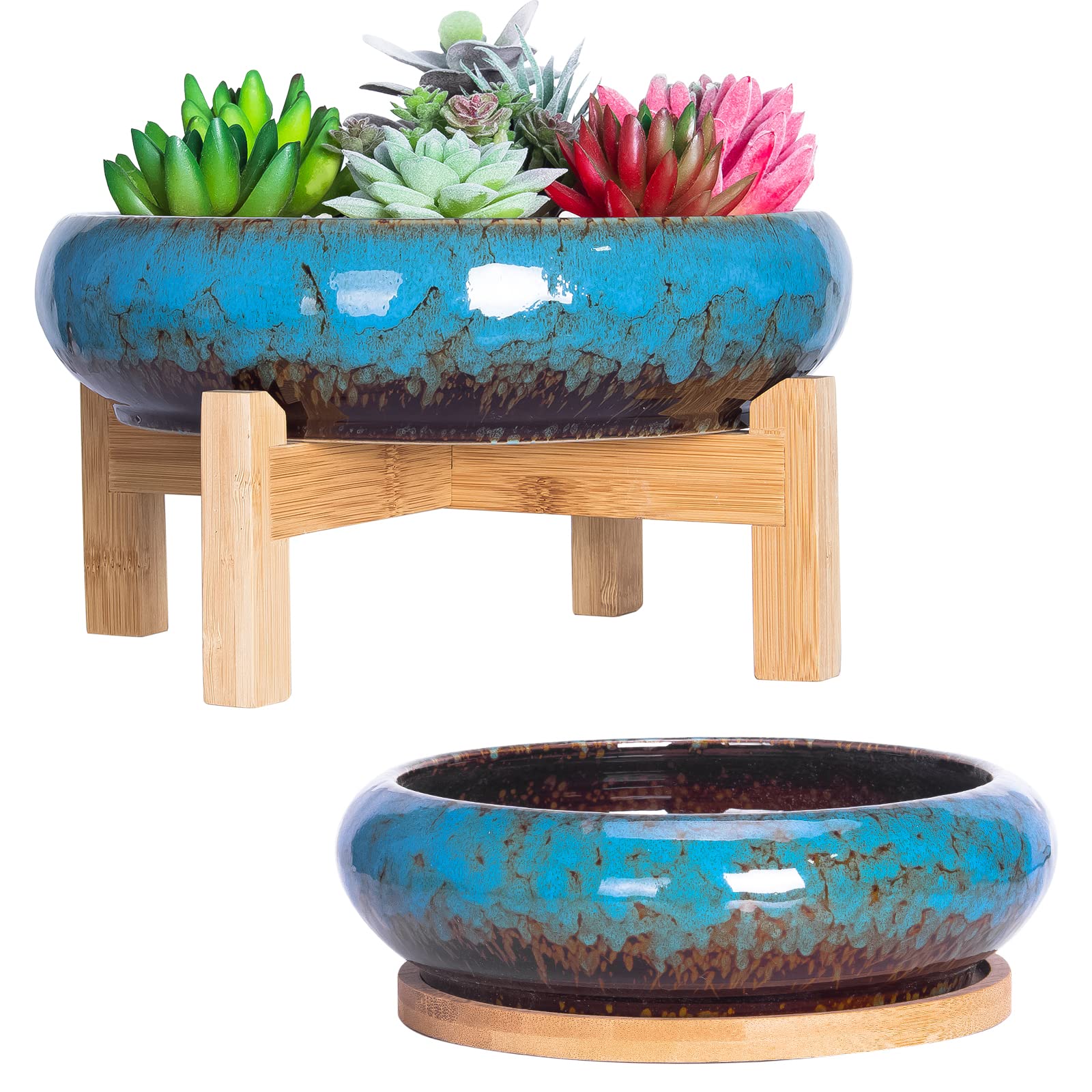 ARTKETTY succulent pots large 7-3inch – ideal for compact indoor bonsai displays.