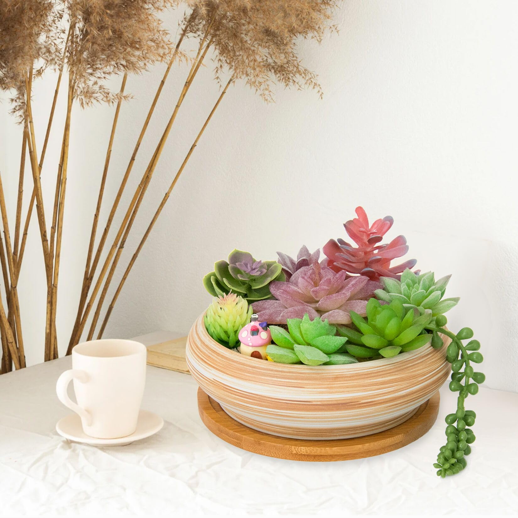 ARTKETTY two-pack succulent pots for versatile home styling.