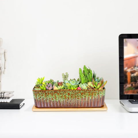 ARTKETTY window sill planter styled with small greens and decor