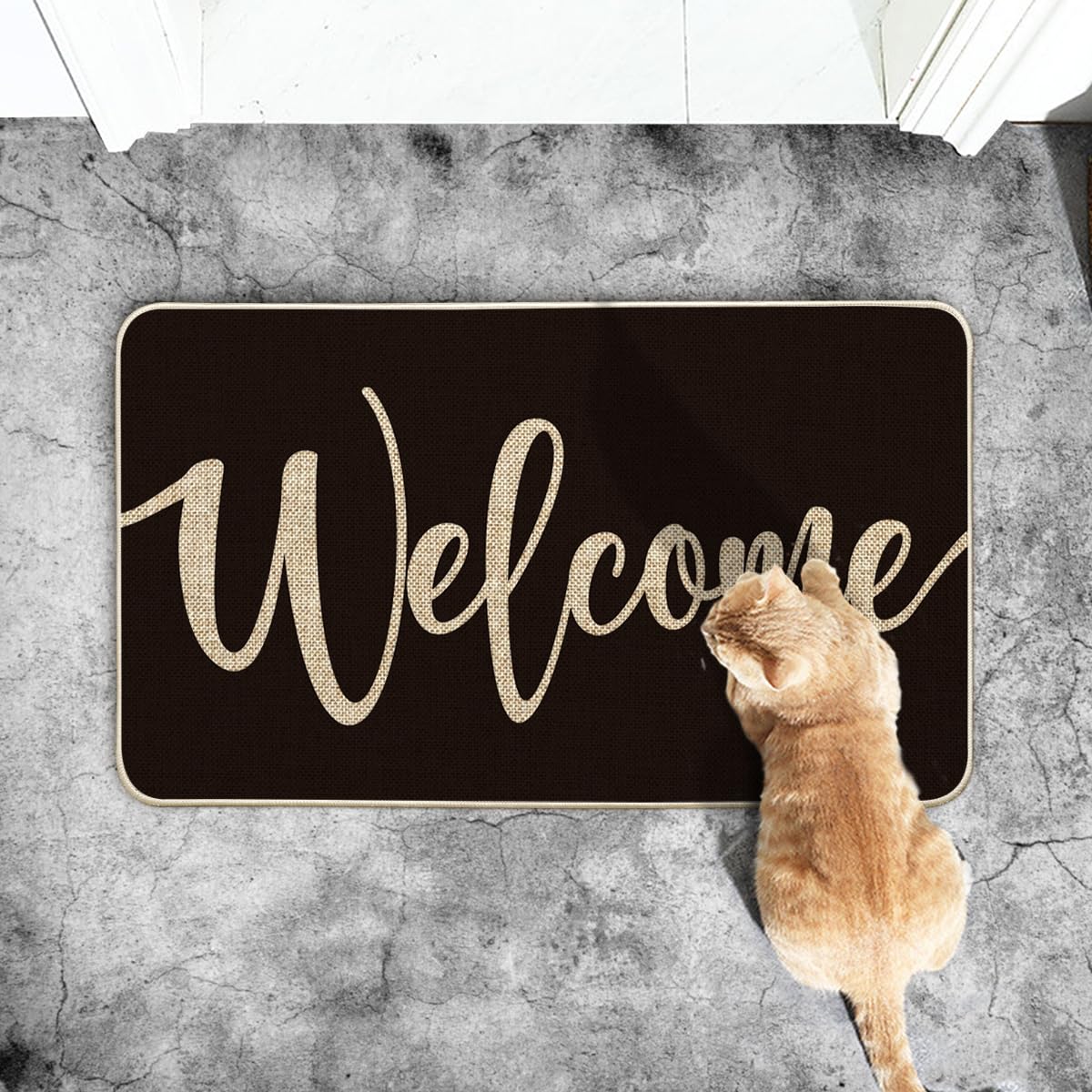 Artoid Mode black welcome doormat measures 17x29 inches for entryways
