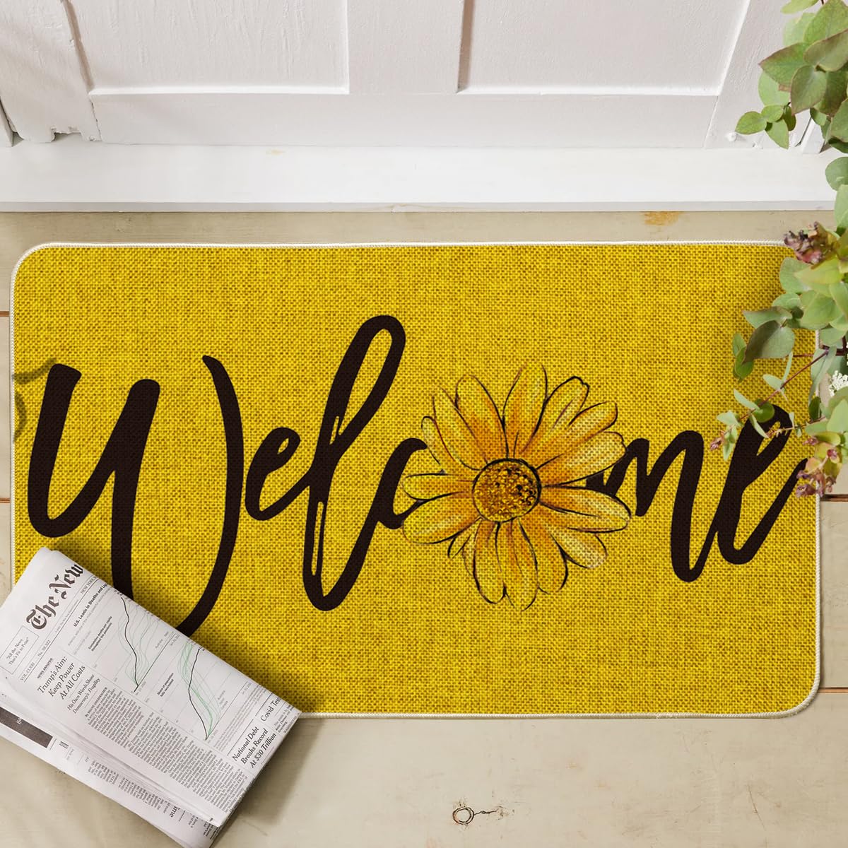 Artoid Mode low-profile rubber mat fits narrow entryways.