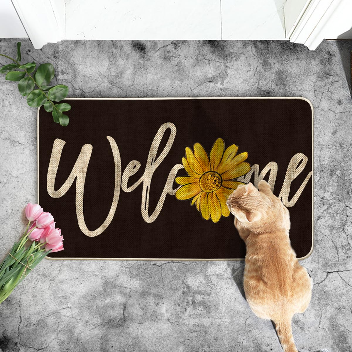 Artoid Mode non-slip durable doormat for high-traffic areas
