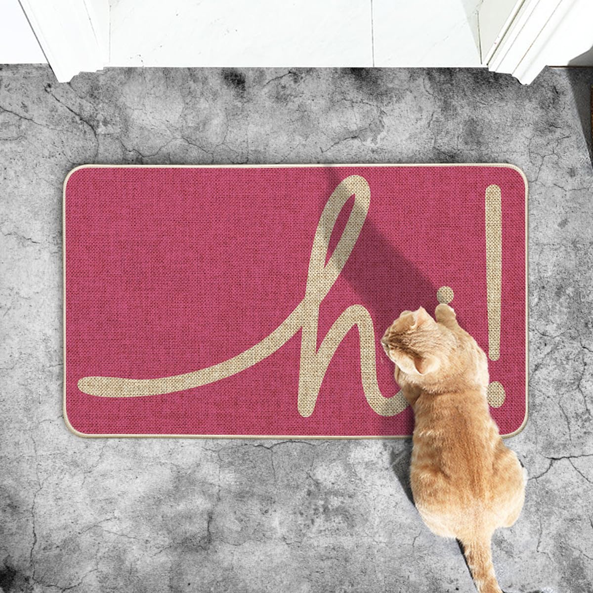 Artoid Mode pink hi spring doormat indoors or outdoors with easy cleaning.