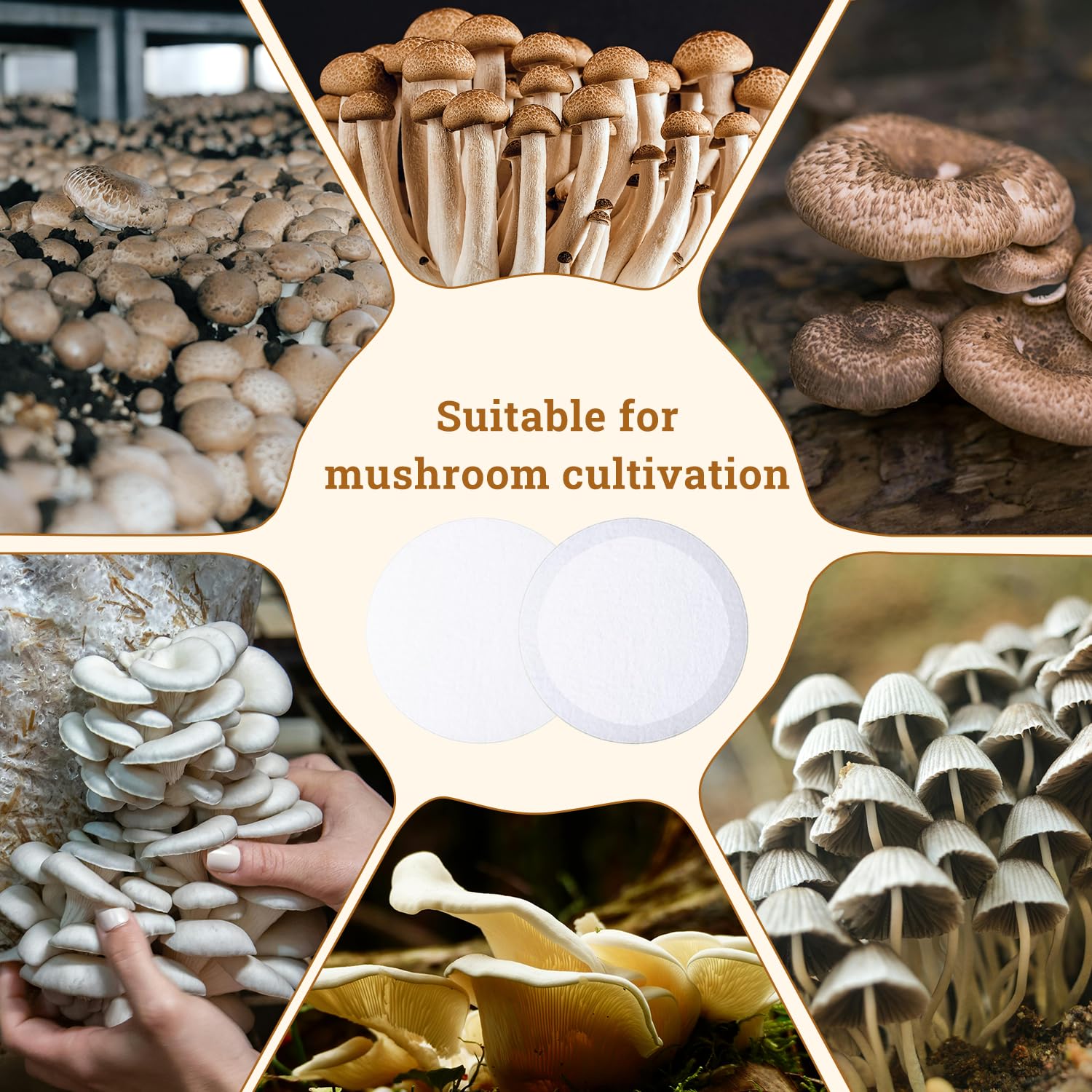 Artojoy easy-to-use monotub discs streamline setup and maintenance.