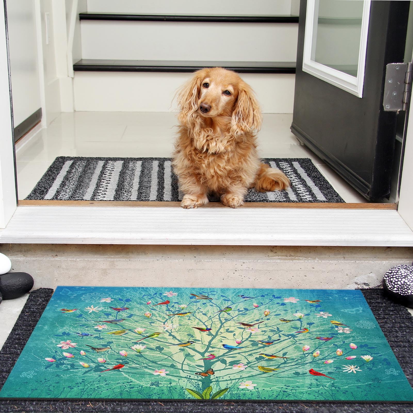 Arttown indoor-outdoor use mat suits front or back doors.