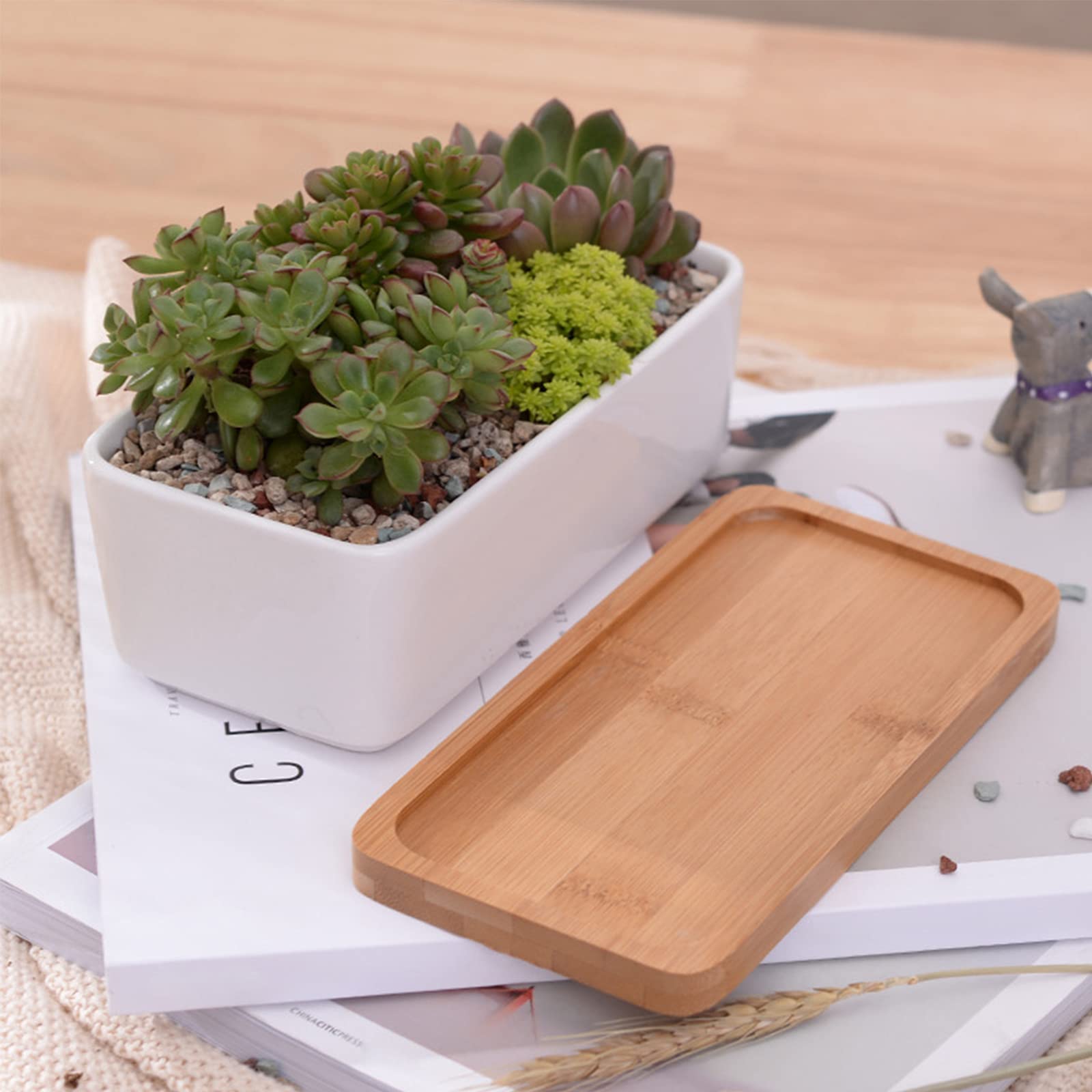 ARVINKEY compact planter dimensions to fit small spaces