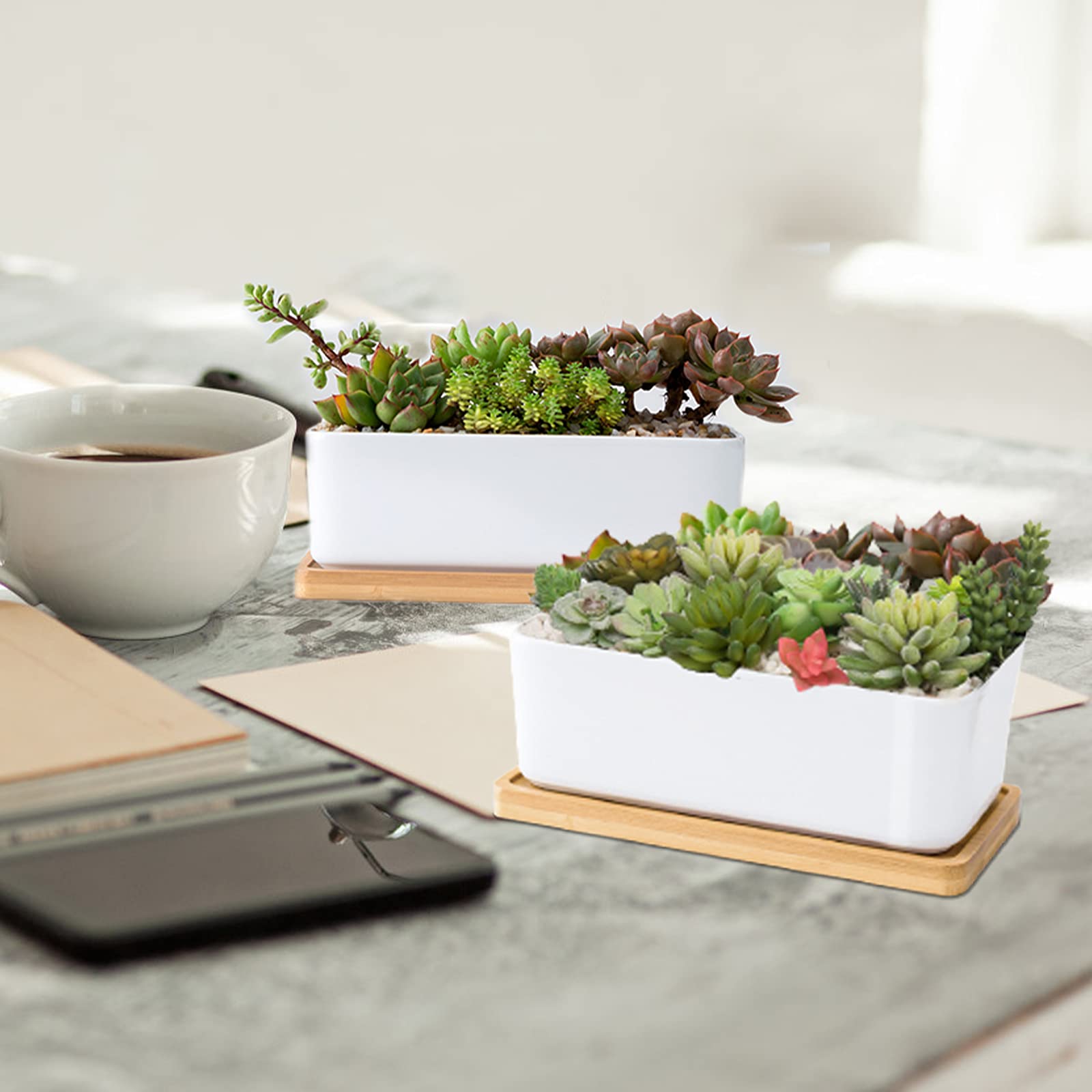ARVINKEY indoor/outdoor succulent pot suitable for various spaces