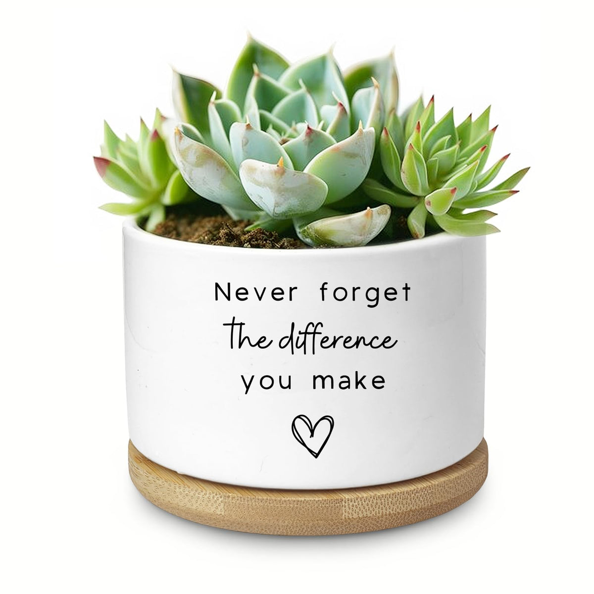 Aryabtya cute succulent planter on desk display enhances workspace charm