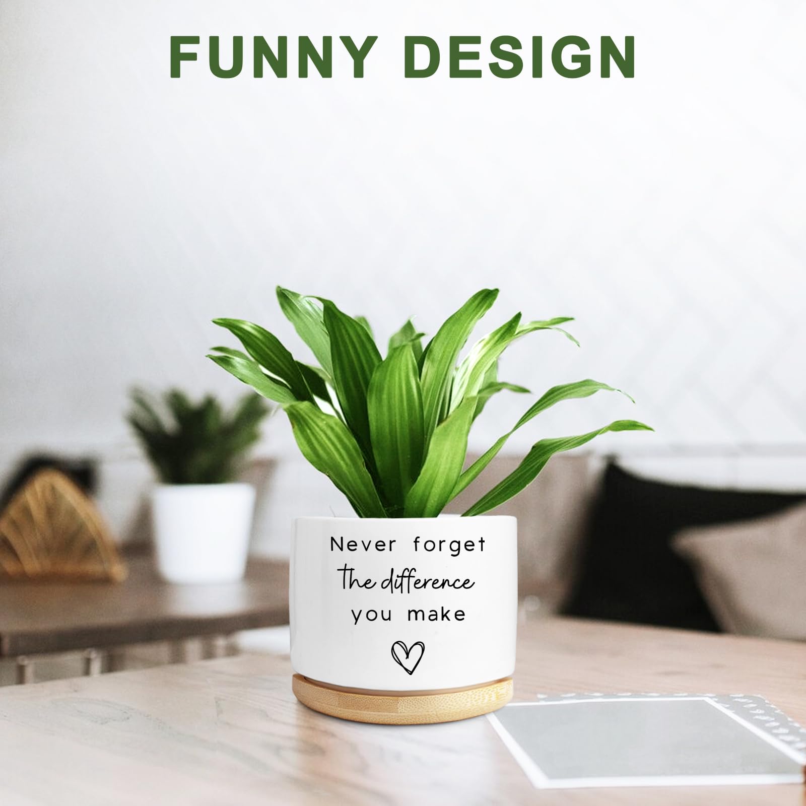 Aryabtya gift-ready ceramic planter ideal for coworkers
