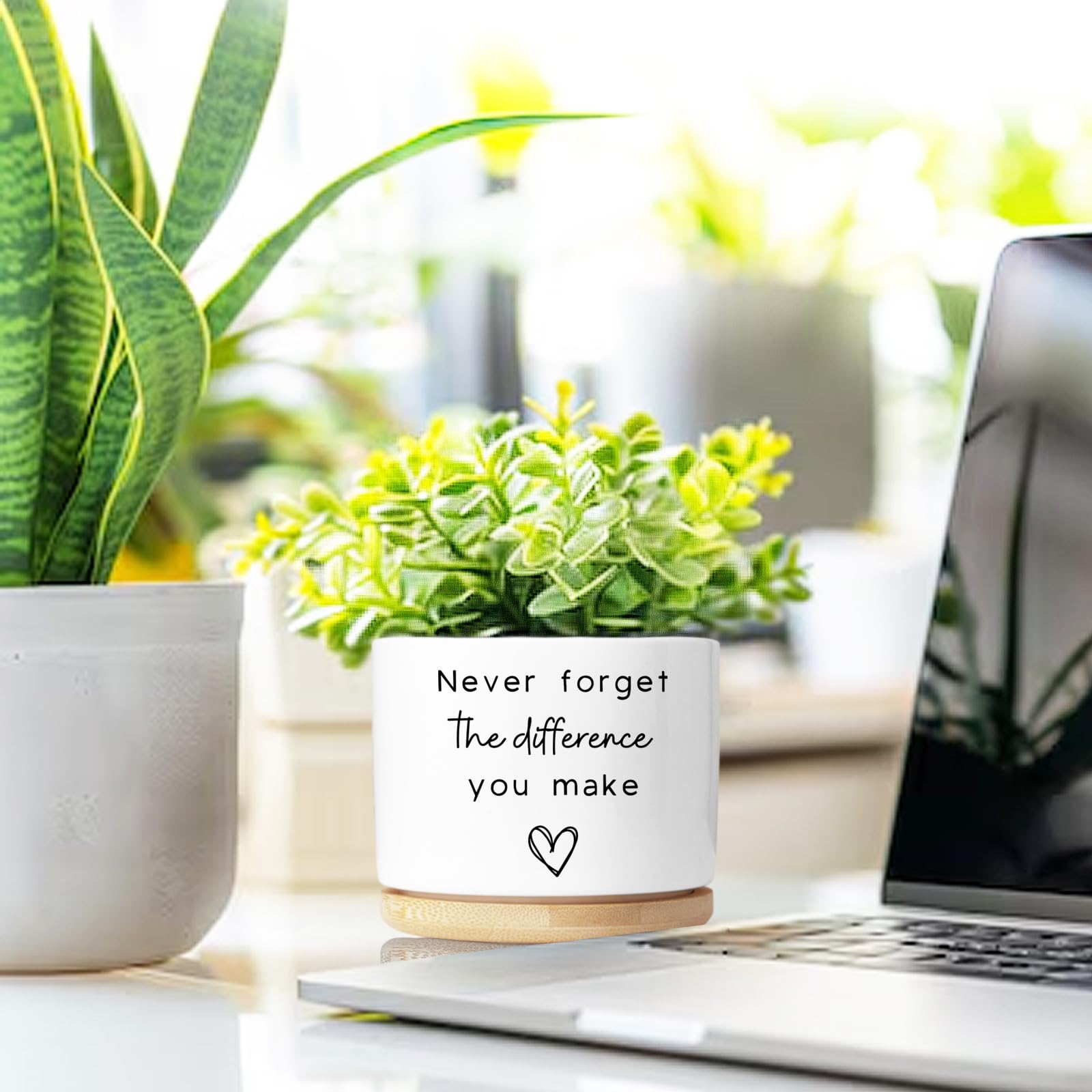Aryabtya mini planter 3-5 inch diameter fits desktops and shelves