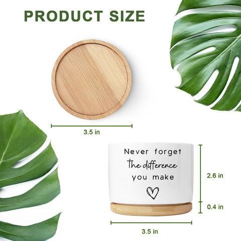 Aryabtya white ceramic planter closeup highlights quality and clean design